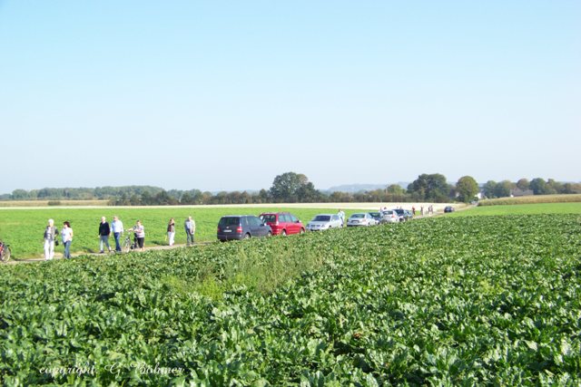 Kunstwerk 2011-0127.JPG